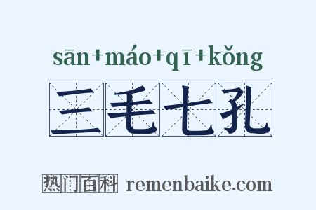 三毛七孔是什么意思的图片